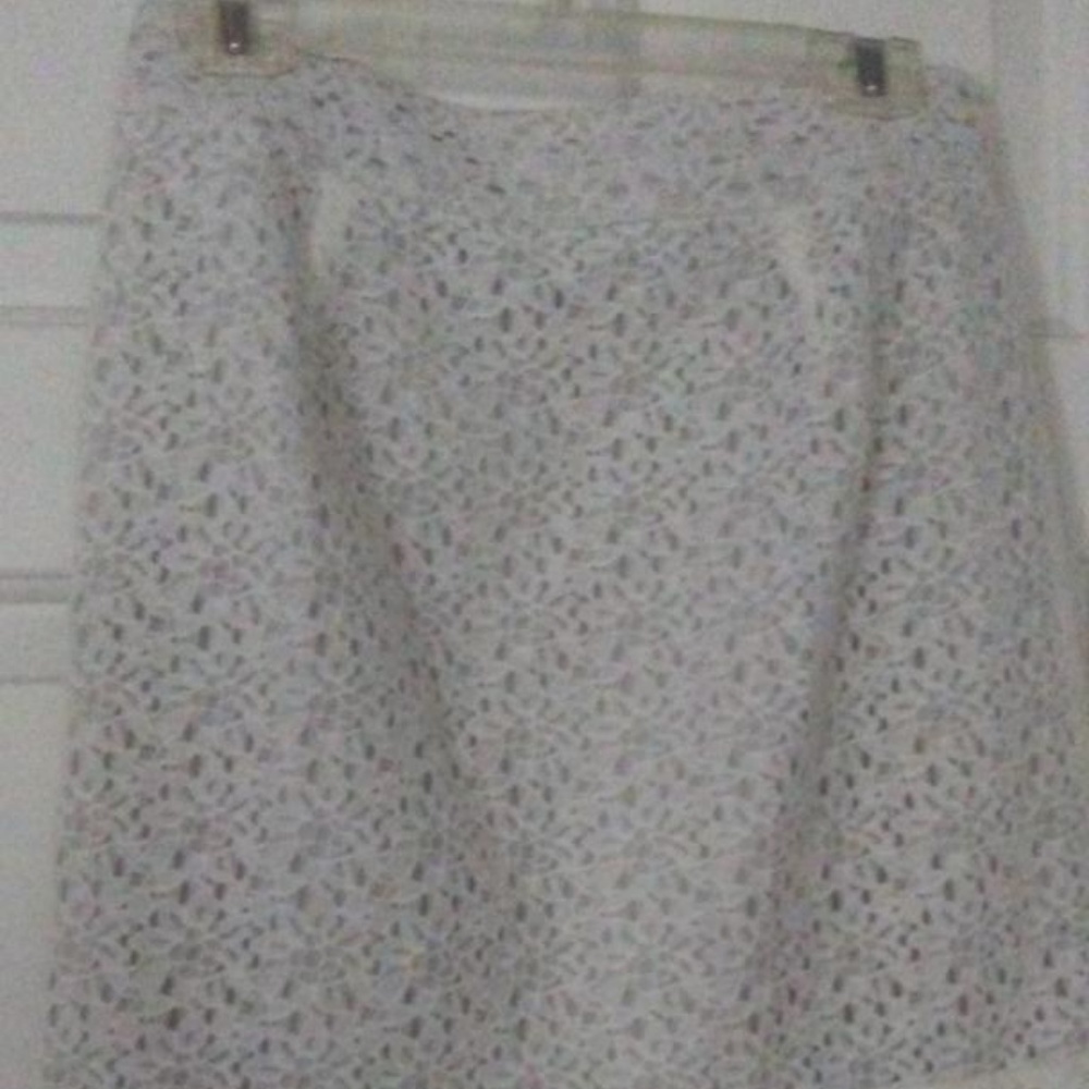 Ann Taylor LOFT ladies lace skirt